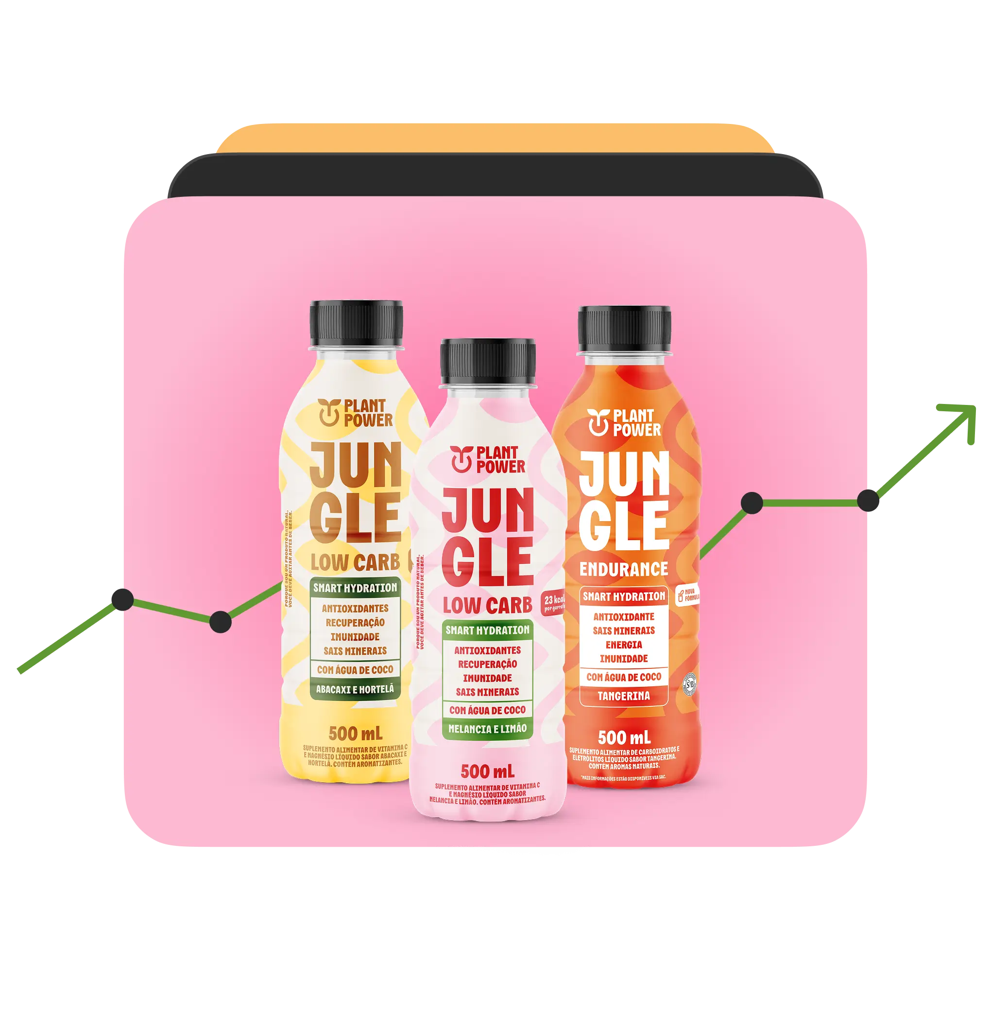 Case – Jungle e Três Corações